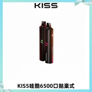 KIS5WAGOO哇酷6500口拋棄式 | 自由混搭雙口味 | 雙芯組合
